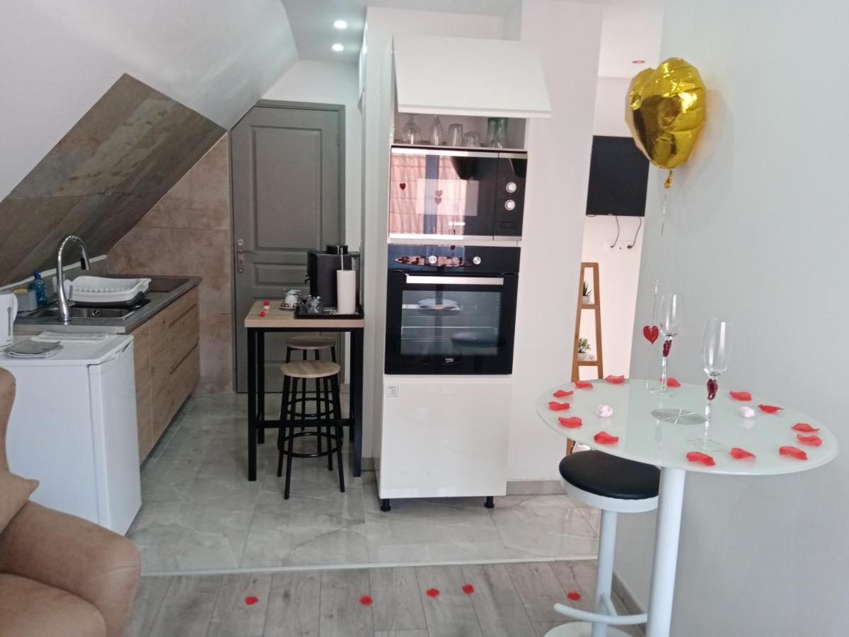 Studio Jacuzzi Au Centre 科尔马 外观 照片