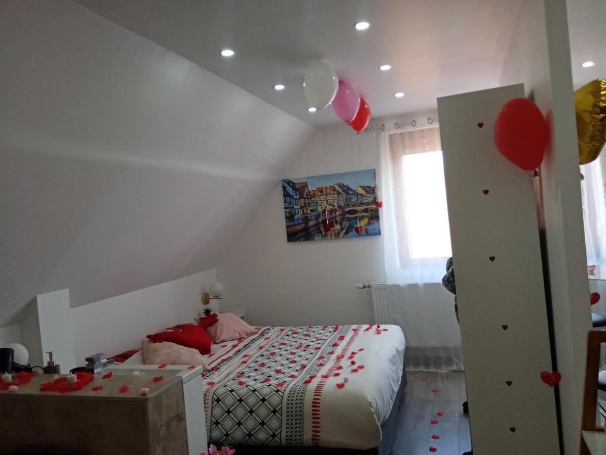 Studio Jacuzzi Au Centre 科尔马 外观 照片