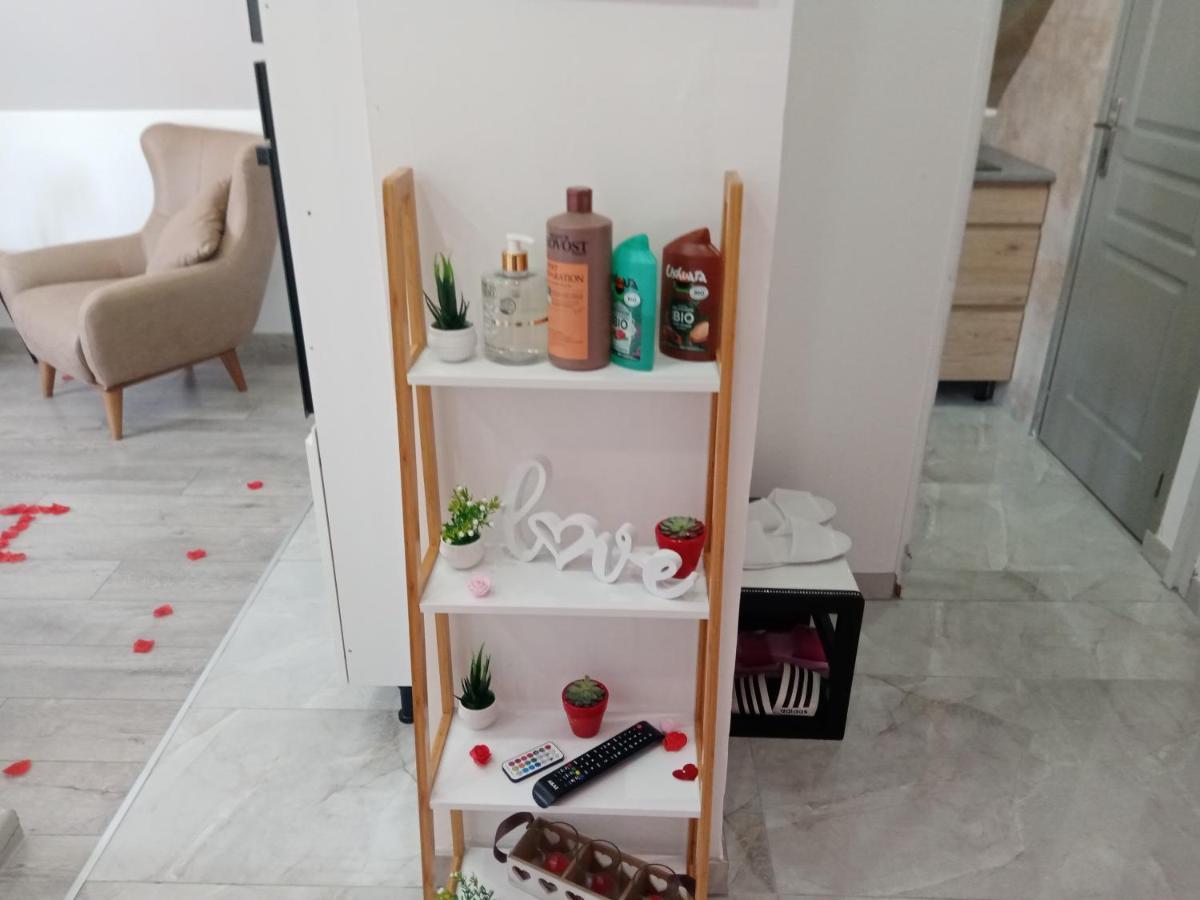 Studio Jacuzzi Au Centre 科尔马 外观 照片