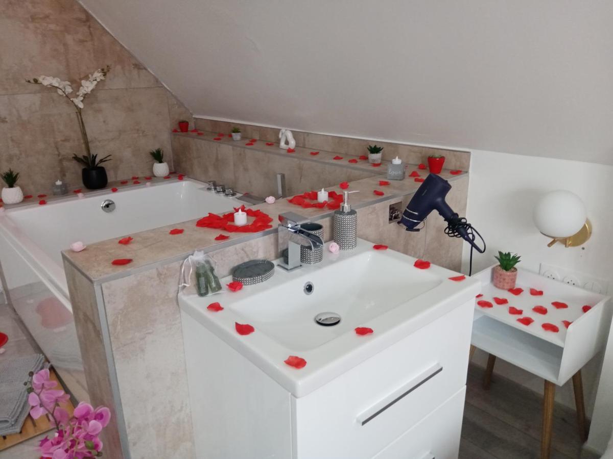 Studio Jacuzzi Au Centre 科尔马 外观 照片