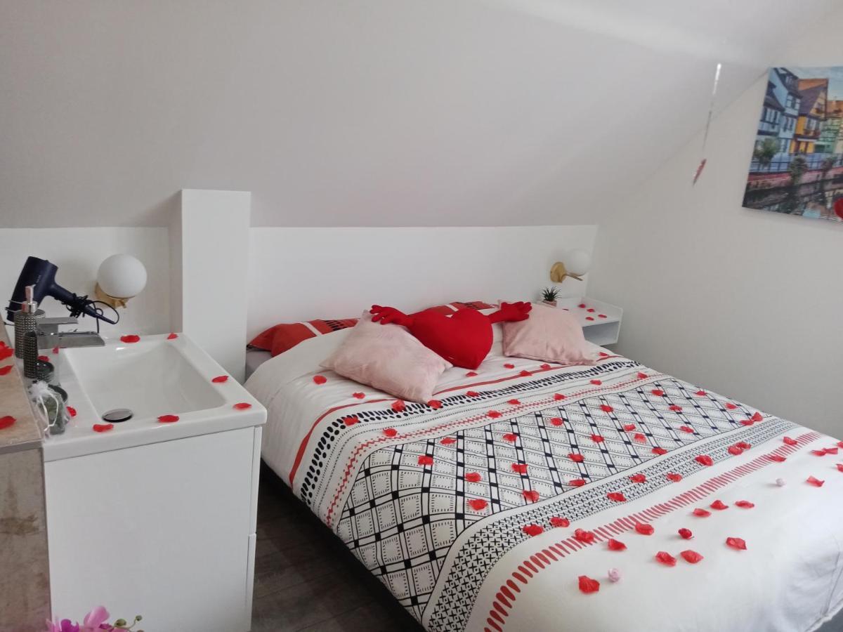 Studio Jacuzzi Au Centre 科尔马 外观 照片