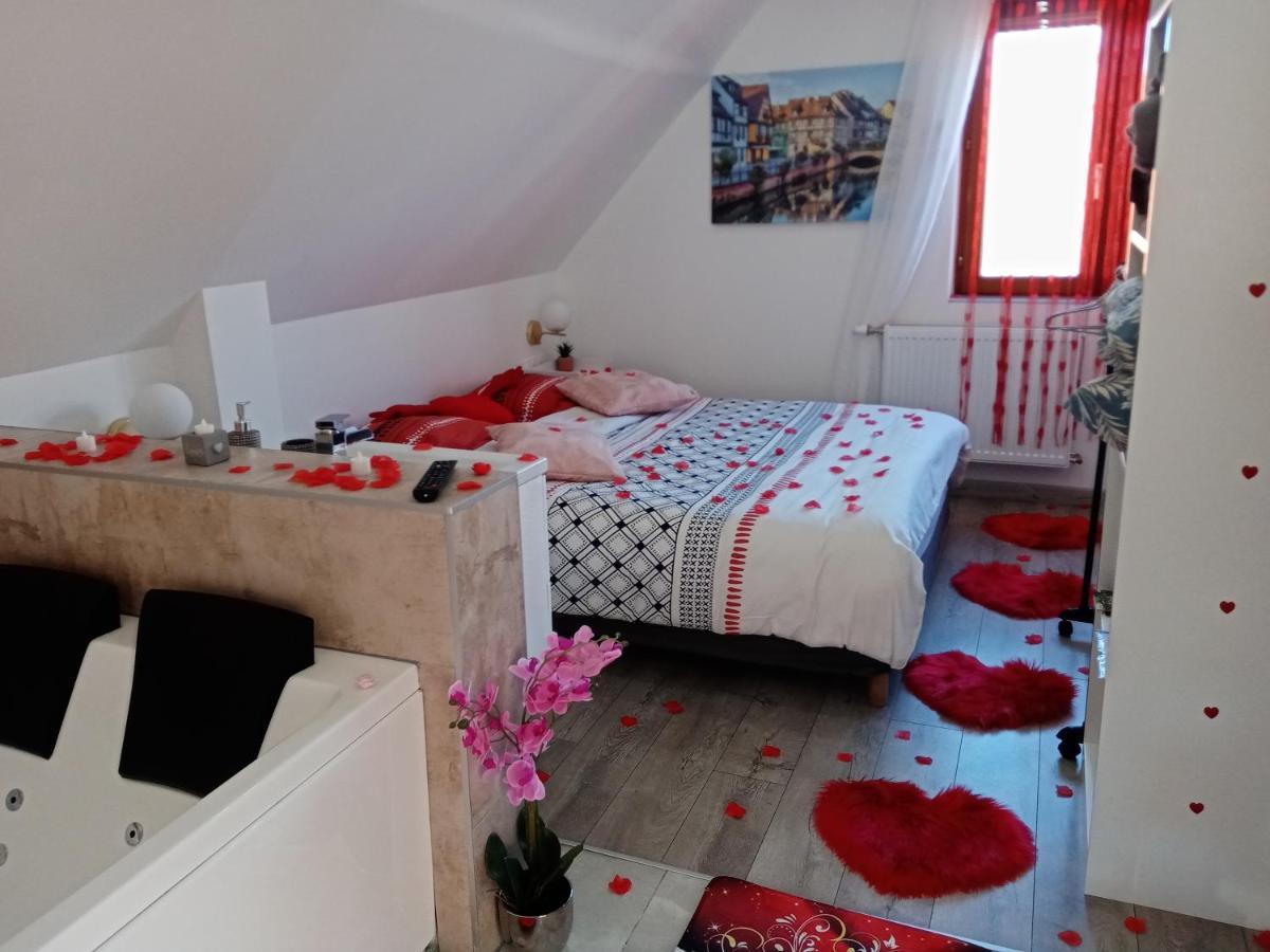 Studio Jacuzzi Au Centre 科尔马 外观 照片