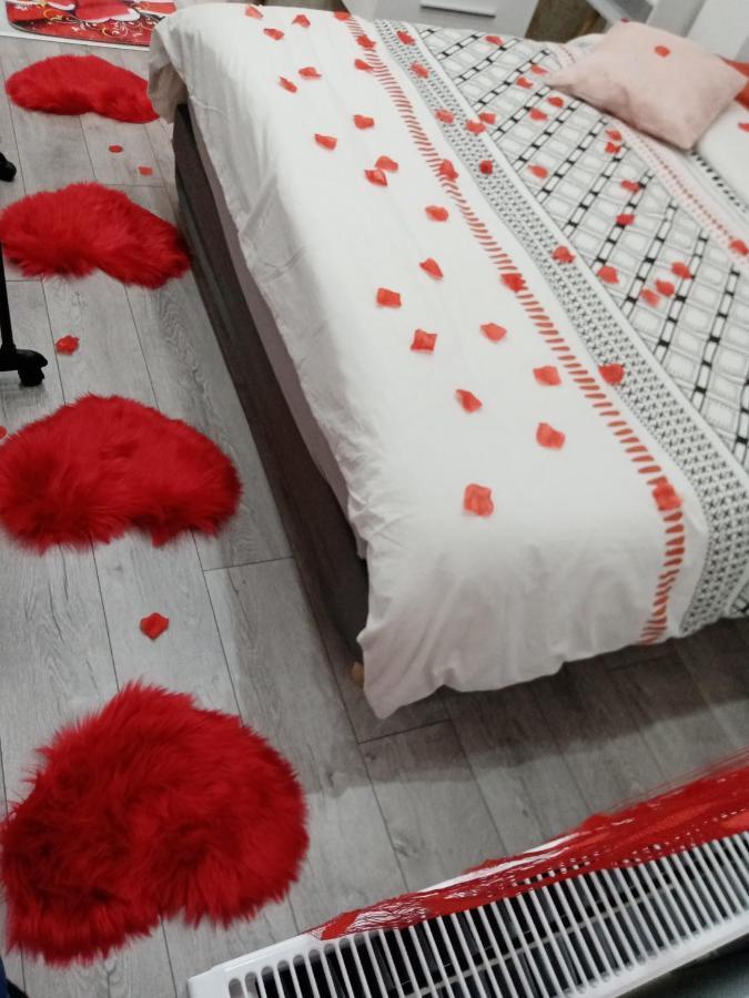 Studio Jacuzzi Au Centre 科尔马 外观 照片