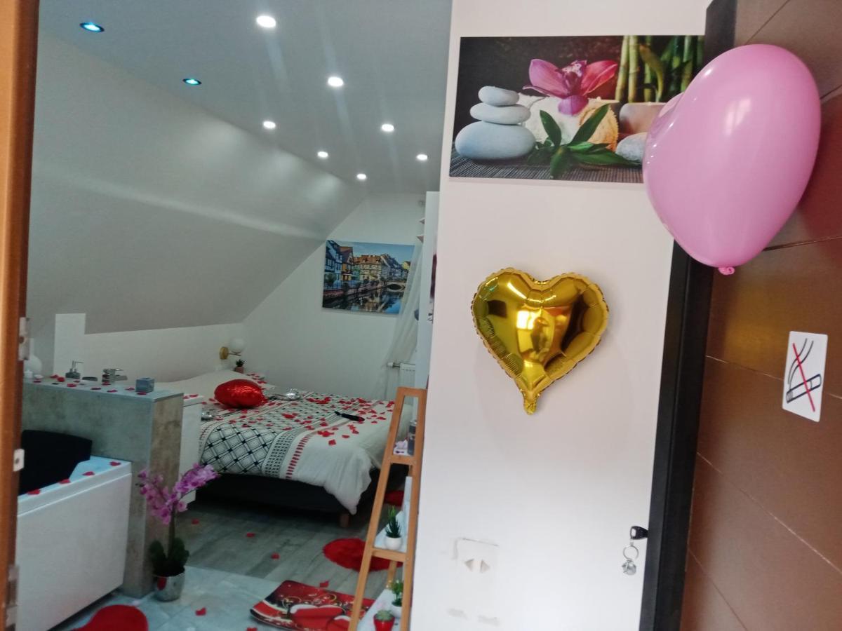 Studio Jacuzzi Au Centre 科尔马 外观 照片
