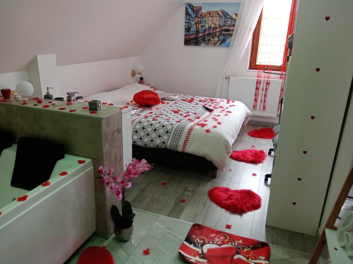 Studio Jacuzzi Au Centre 科尔马 外观 照片