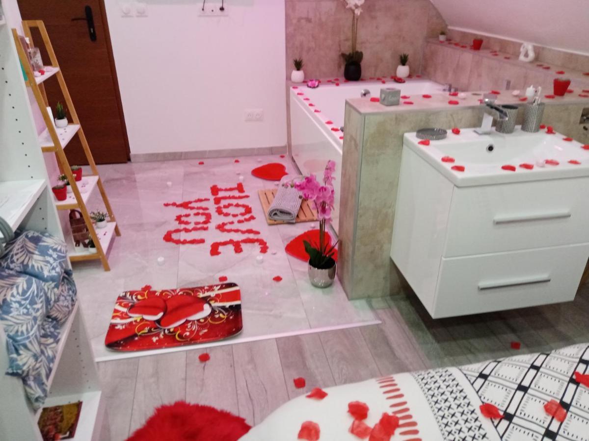 Studio Jacuzzi Au Centre 科尔马 外观 照片