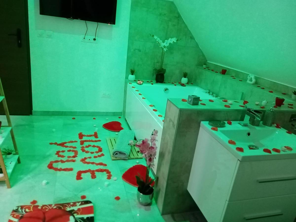 Studio Jacuzzi Au Centre 科尔马 外观 照片