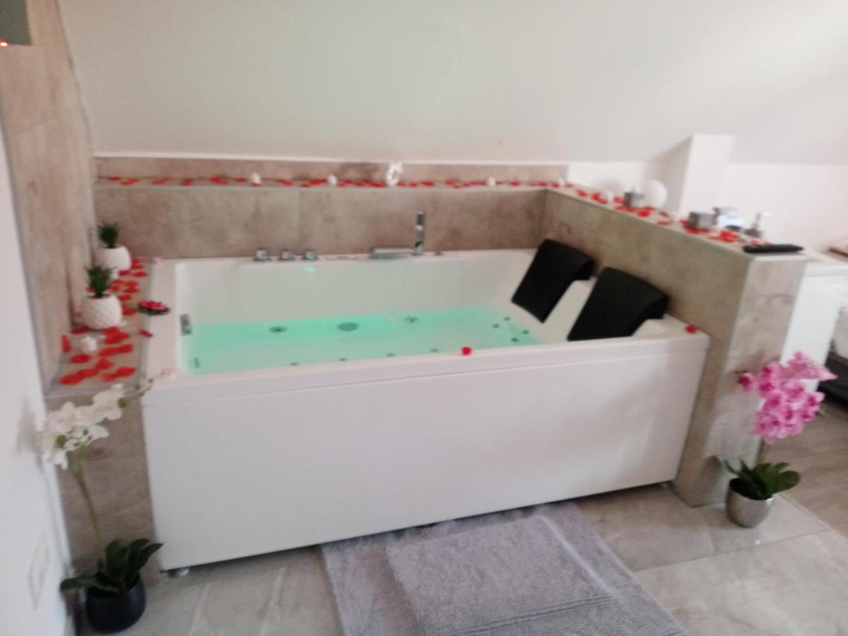 Studio Jacuzzi Au Centre 科尔马 外观 照片