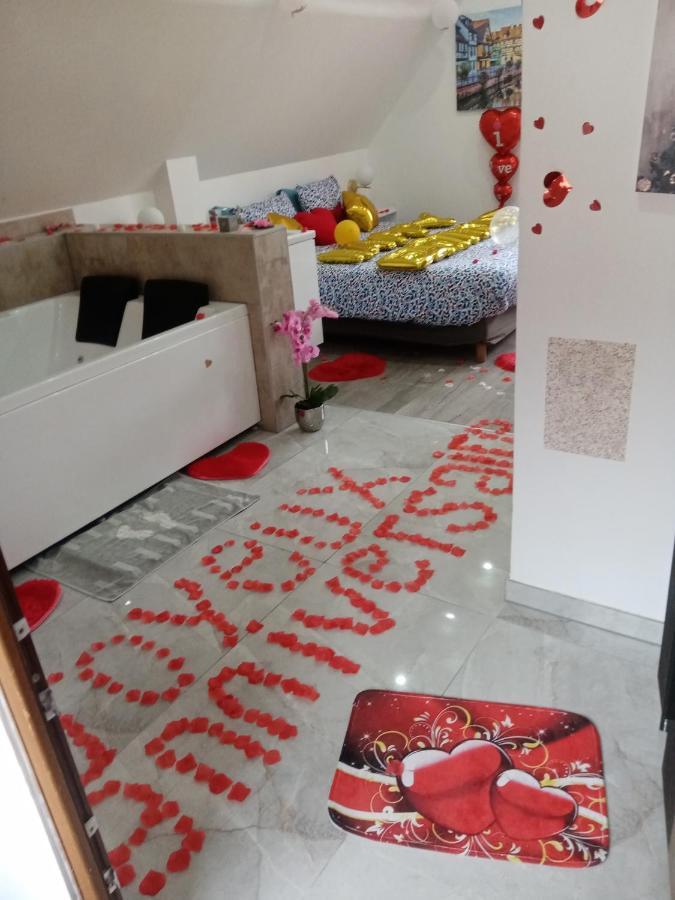 Studio Jacuzzi Au Centre 科尔马 外观 照片