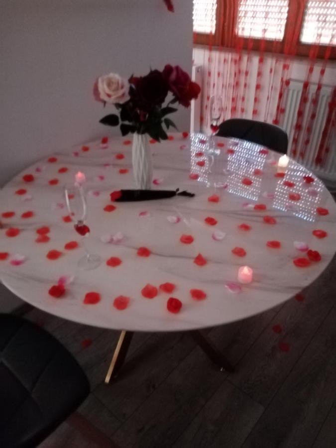 Studio Jacuzzi Au Centre 科尔马 外观 照片