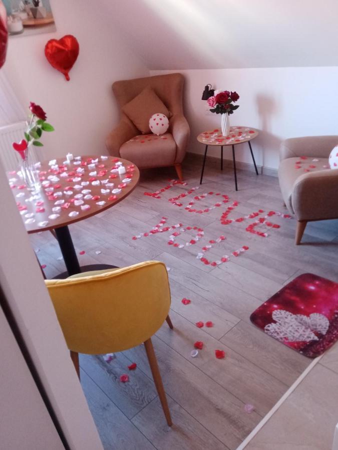 Studio Jacuzzi Au Centre 科尔马 外观 照片