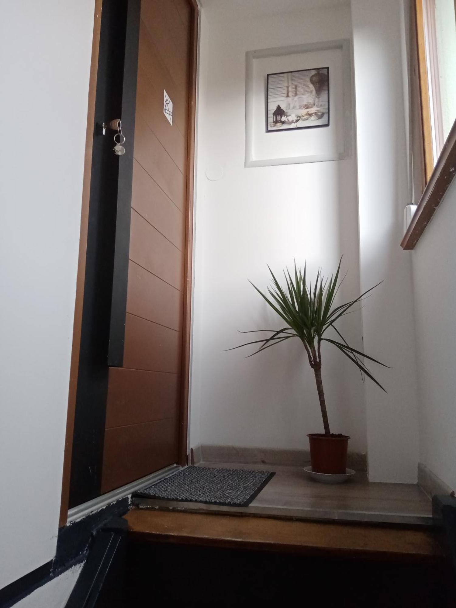 Studio Jacuzzi Au Centre 科尔马 客房 照片